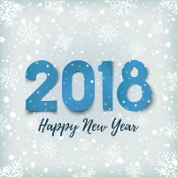 We wish Happy New Year to our partners, customers and friends!